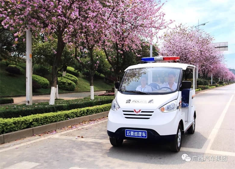 电动巡逻车充不进电－售后1小时上门服务[五菱]