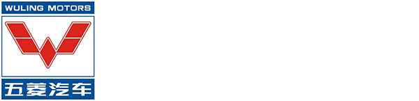 电动巡逻车-电动环卫车-电动消防车-货斗巡逻车,生产厂家-五菱